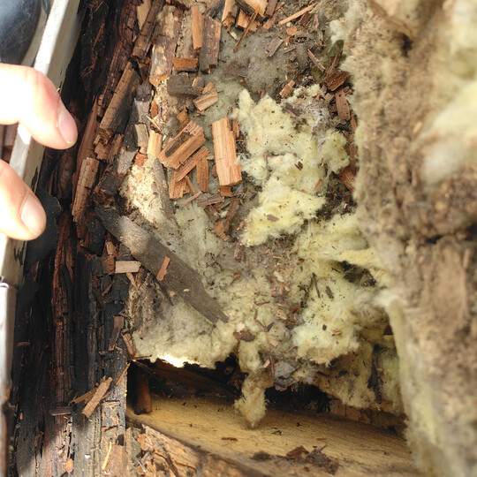 2025 | TÁBOR | Střelnická 222 | rekonstrukce střechy a historické fasády